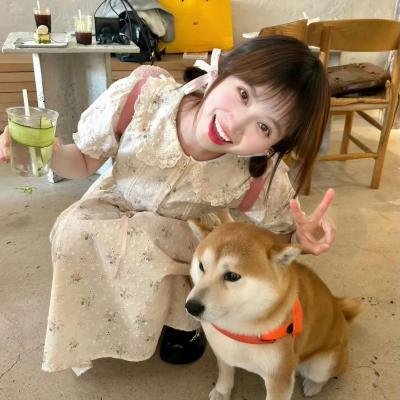 加油!同期酱 在线观看
