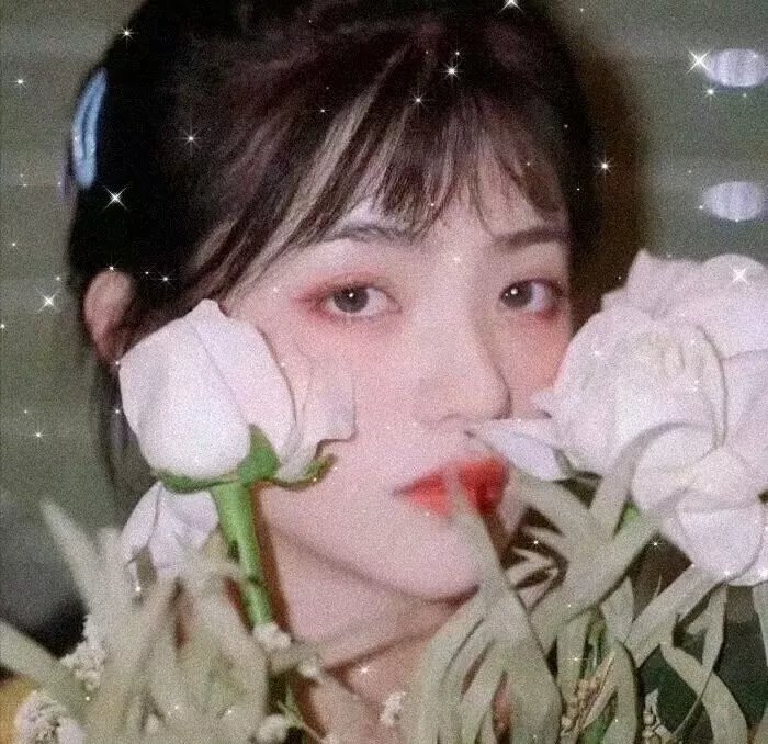 东北美发天团